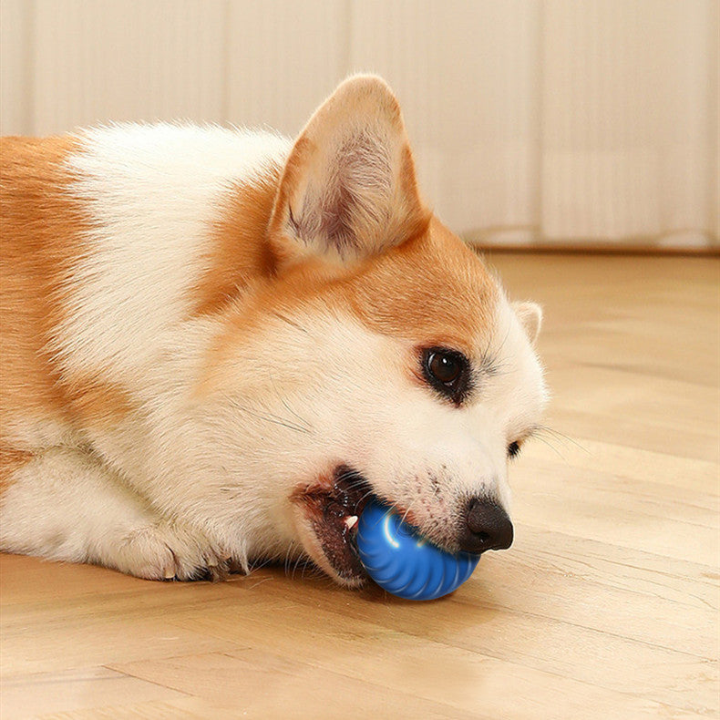 Rubber Ball Toys For Dogs Resistance To Bite