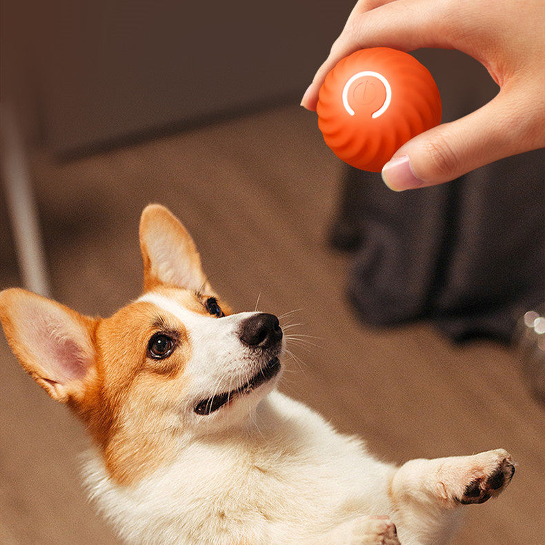 Rubber Ball Toys For Dogs Resistance To Bite