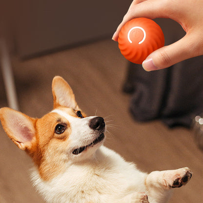 Rubber Ball Toys For Dogs Resistance To Bite