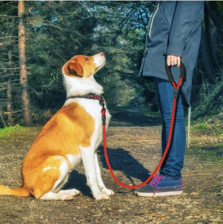 Walking Nylon Pet Dog Leash Rope