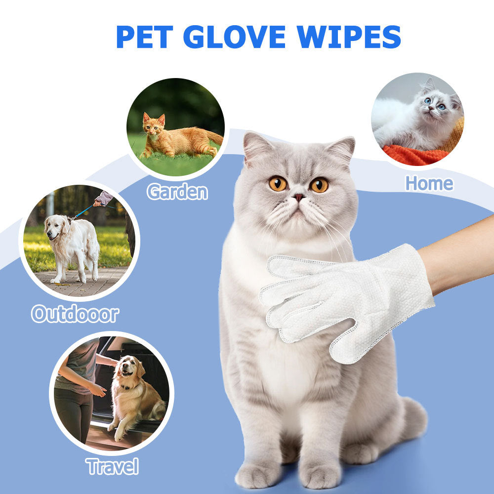 Travel Cleaning Wipes Gloves For Dog And Cat, 6PCS-1PACK