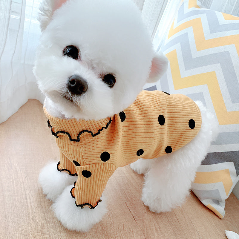 Small white dog wearing a yellow outfit with black polka dots on a wooden floor.