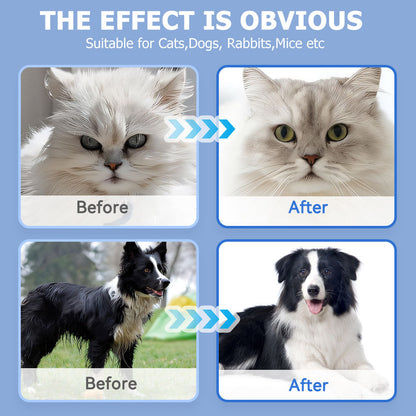 Travel Cleaning Wipes Gloves For Dog And Cat, 6PCS-1PACK